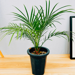 0b137844600da49be48ab7425fba83