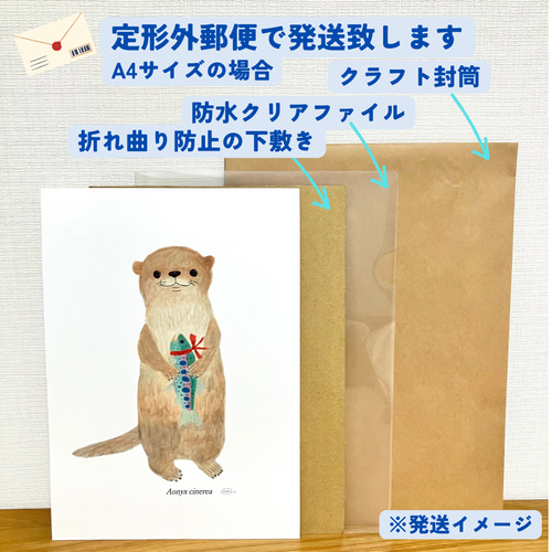 ポストカード おしゃれ かわいい アート デザイン イラスト カワウソ