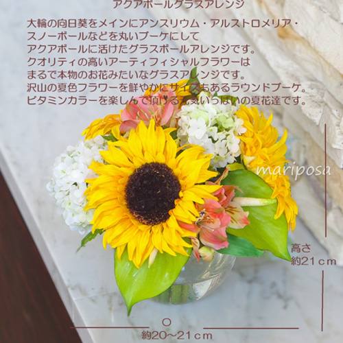 公式ファッションブランド通販サイト ひまわりページ(フラワー