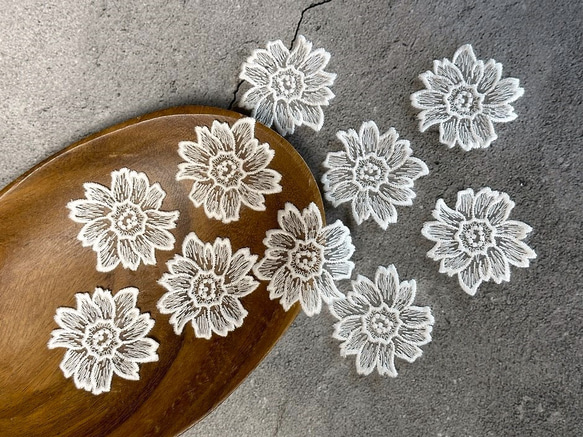  第7張的照片