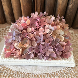 ドライフラワー❣️ナチュラルピンクペッパーベリー 2024年再入荷❣️ペッパーベリードライフラワーナチュラルピンク小分け