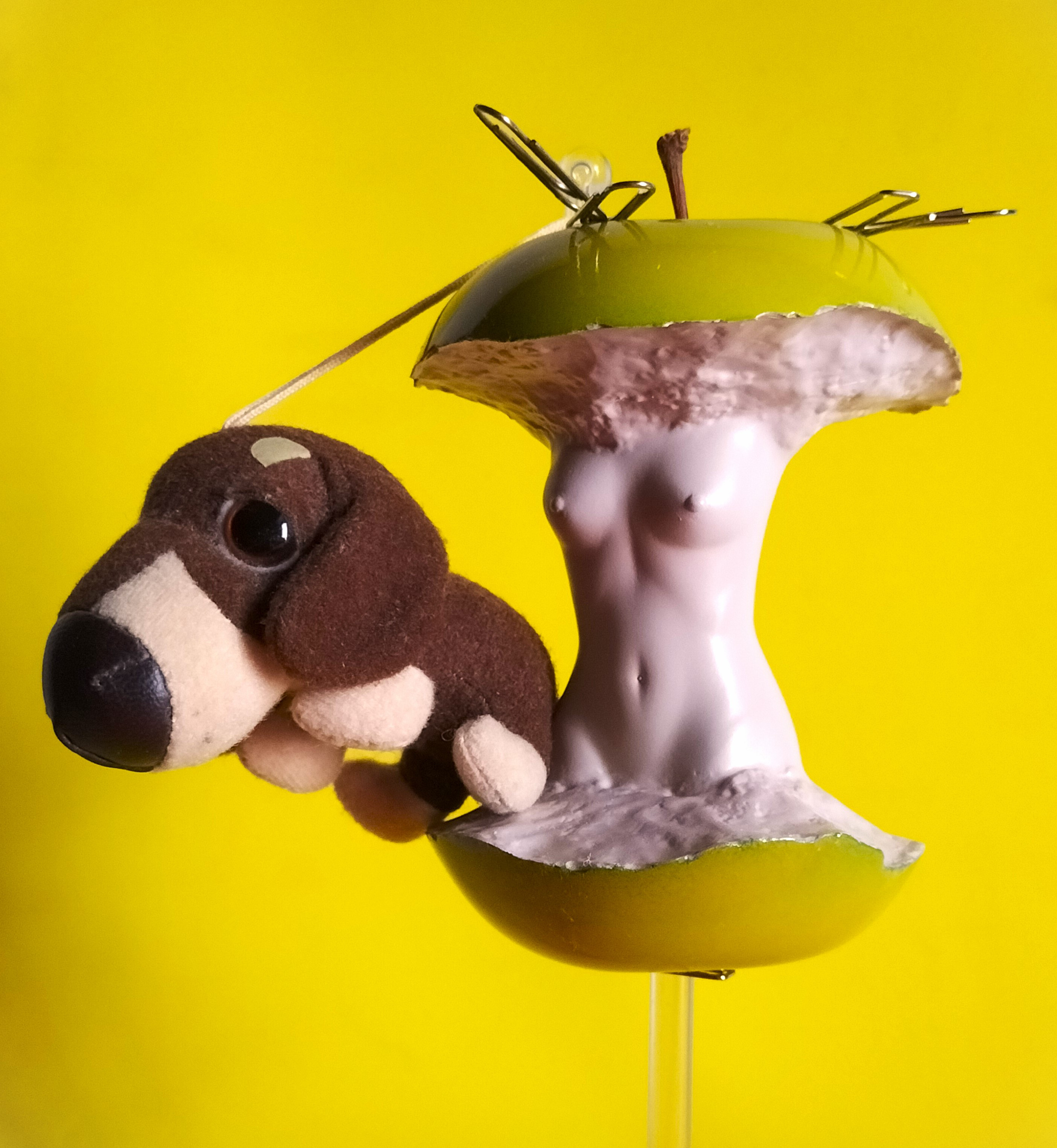 禁断の果実：林檎型ゼムクリップホルダー 6,162円