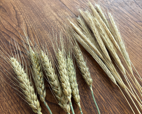 464f0a7b773bdf73ec0a1e4c19ac09