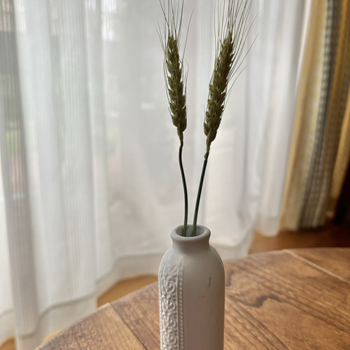 麦2種天然ドライフラワー（小麦15本ライ麦20本） ドライフラワー AI