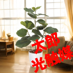 光触媒　人工観葉植物　ウォールグリーン　フェイクグリーン　ウンベラータ80 光触媒 人工観葉植物 ウォールグリーン フェイクグリーン ウンベラータ