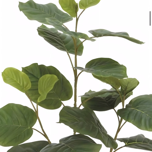 光触媒 人工観葉植物 ウォールグリーン フェイクグリーン ウンベラータ