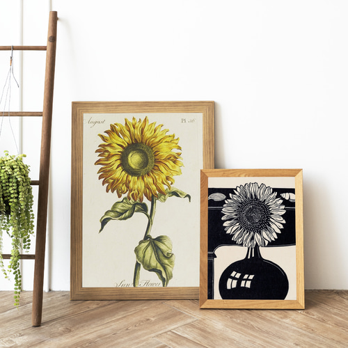 NO.608】ひまわりの花絵画インテリアポスター☆夏ナチュラルボタニカル