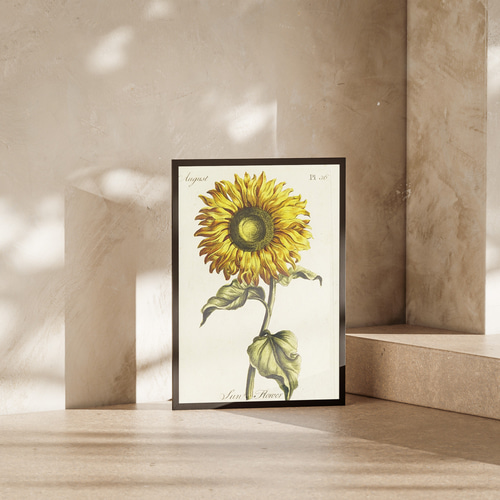 NO.608】ひまわりの花絵画インテリアポスター☆夏ナチュラル