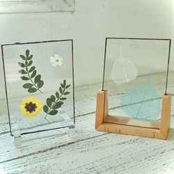 葉脈と押し花のガラスパネル 1枚目の画像