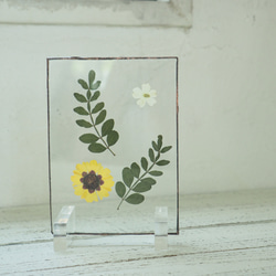 葉脈と押し花のガラスパネル 5枚目の画像