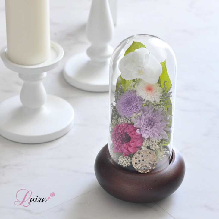 【お色変更で再販】Lサイズ稀有なプリザーブドフラワー胡蝶蘭の仏花、お供え花／ガラスドーム付き／お悔み 新盆