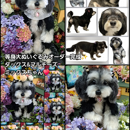 等身大 実物大 リアル ぬいぐるみ 犬 プードル マルチーズ 等身大 実物大 リアル ぬいぐるみ 犬 プードル マルチーズ