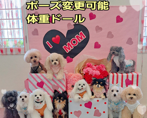 ミナポポ様専用ページ♥️チワワ 等身大 ぬいぐるみ オーダー 体重