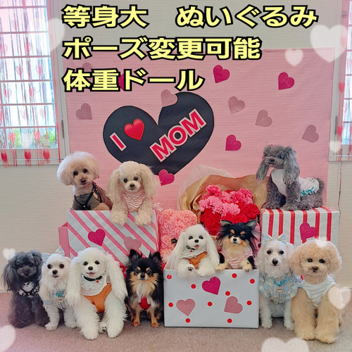 等身大 実物大 リアル ぬいぐるみ 犬 プードル マルチーズ 等身大 実物大 リアル ぬいぐるみ 犬 プードル マルチーズ