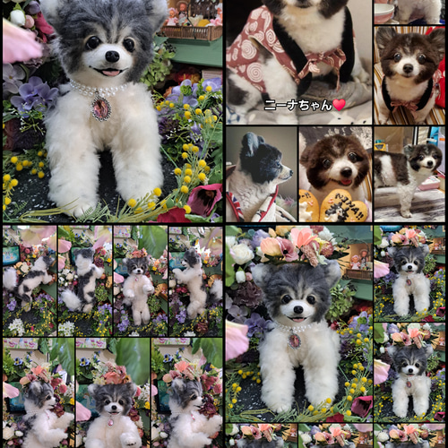 オーダー受付中♥️　実物大　リアル　犬　ペットロス　ぬいぐるみ　カズコオガワ オーダー受付いたします♥️ 実物大 チワワ 愛犬 分身
