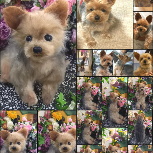 等身大 実物大 リアル ぬいぐるみ 犬 プードル マルチーズ