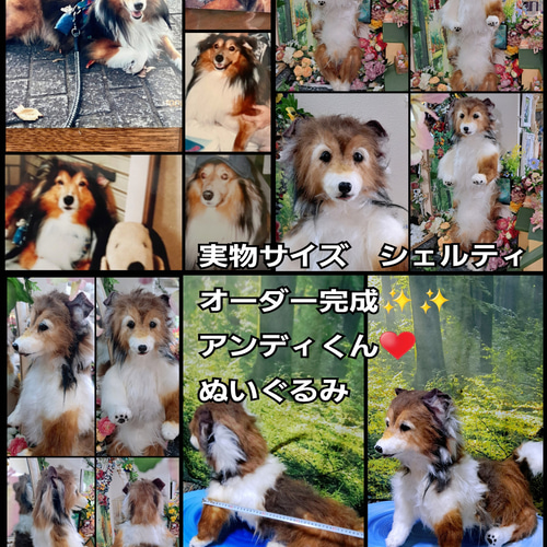 等身大 実物大 リアル ぬいぐるみ 犬 プードル マルチーズ