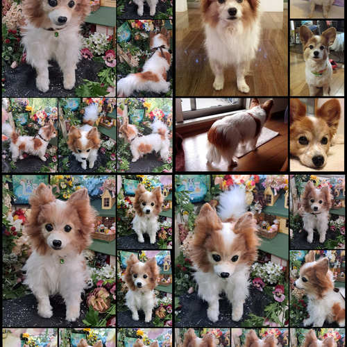等身大 実物大 リアル ぬいぐるみ 犬 プードル マルチーズ