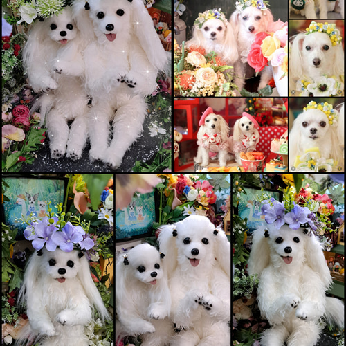 等身大 実物大 リアル ぬいぐるみ 犬 プードル マルチーズ 等身大 実物大 リアル ぬいぐるみ 犬 プードル マルチーズ