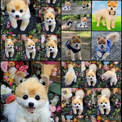 等身大 実物大 リアル ぬいぐるみ 犬 プードル マルチーズ