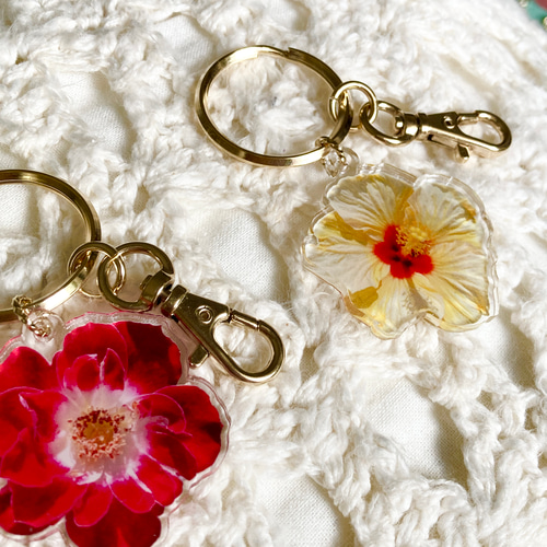 フラワーアクリルキーホルダー／L】ラナンキュラス＊ハイビスカス