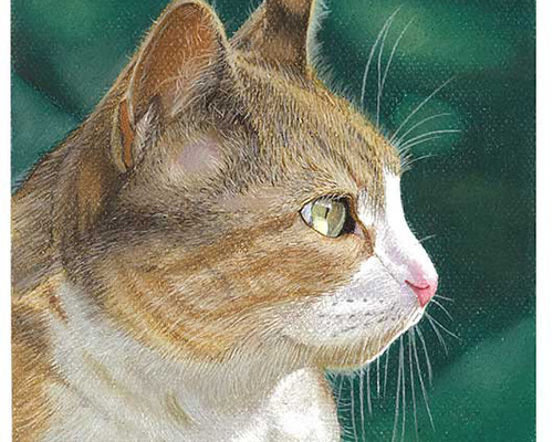 オーダーの品　自作絵画　猫とうさぎの肖像画 楽天市場】WiTH PET ペット肖像画 オーダーメイド キャンバス 猫