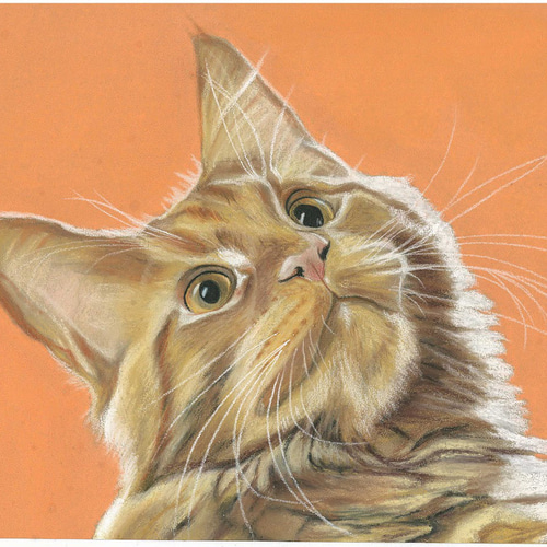 オーダーの品　自作絵画　猫とうさぎの肖像画 楽天市場】WiTH PET ペット肖像画 オーダーメイド キャンバス 猫
