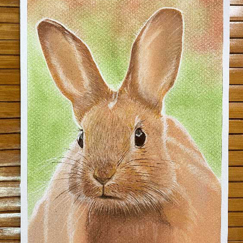 ペット似顔絵（犬、猫、ウサギ、リス）の似顔絵！プレゼント、誕生日