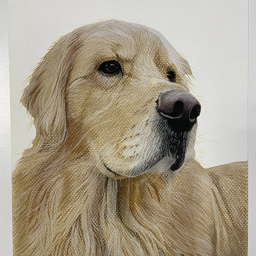 ペット似顔絵(犬、猫、ウサギ、リス)の似顔絵!プレゼント ペット似顔絵(犬、猫、ウサギ、リス)の似顔絵!プレゼント