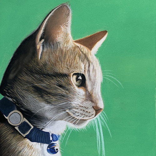 ペット似顔絵(犬、猫、ウサギ、リス)の似顔絵!プレゼント ペット似顔絵(犬、猫、ウサギ、リス)の似顔絵!プレゼント