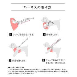 再販【SS-L】coolハーネス＆リードset（ドット：キナリ×紺）／コットンリネン／小型犬／名入れ可／保冷剤 4枚目の画像