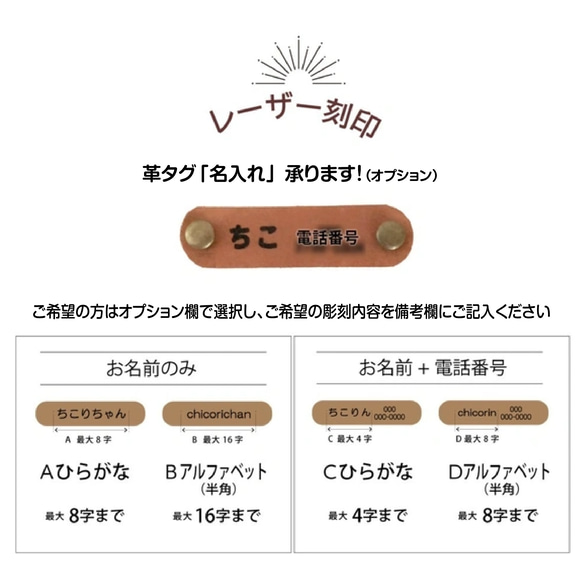 再販【SS-L】coolハーネス＆リードset（ドット：キナリ×紺）／コットンリネン／小型犬／名入れ可／保冷剤 5枚目の画像