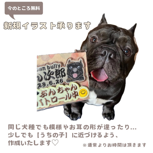 はるうらら✨お値下げ依頼、歓迎です^ ^★ユリウスk9★ネームラベル JULIUS-K9 ［Julius-K9］ユリウス パワーハーネスL／XL用ネーム