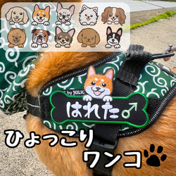 ひょっこりわんこ 愛犬 ネームワッペン 刺繍 julius-k9 ユリウス