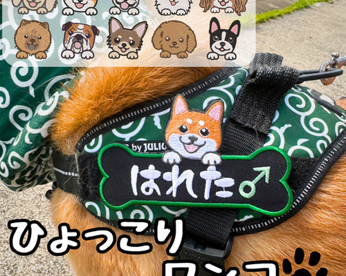 ユリウスk9☆ネームタグ☆ネームラベル☆ハーネス用ワッペン