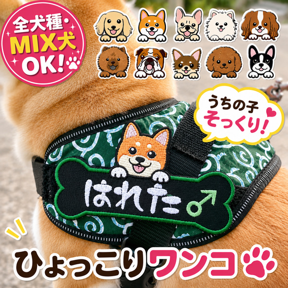 ひょっこりわんこ 愛犬 ネームワッペン 刺繍 julius-k9 ユリウスk9