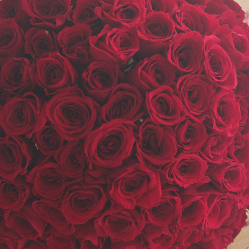 プロポーズフラワー（プリザーブドフラワー108本の花束） その他