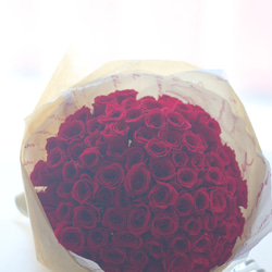 7e88d07af3fc132e241eea7c9764b3