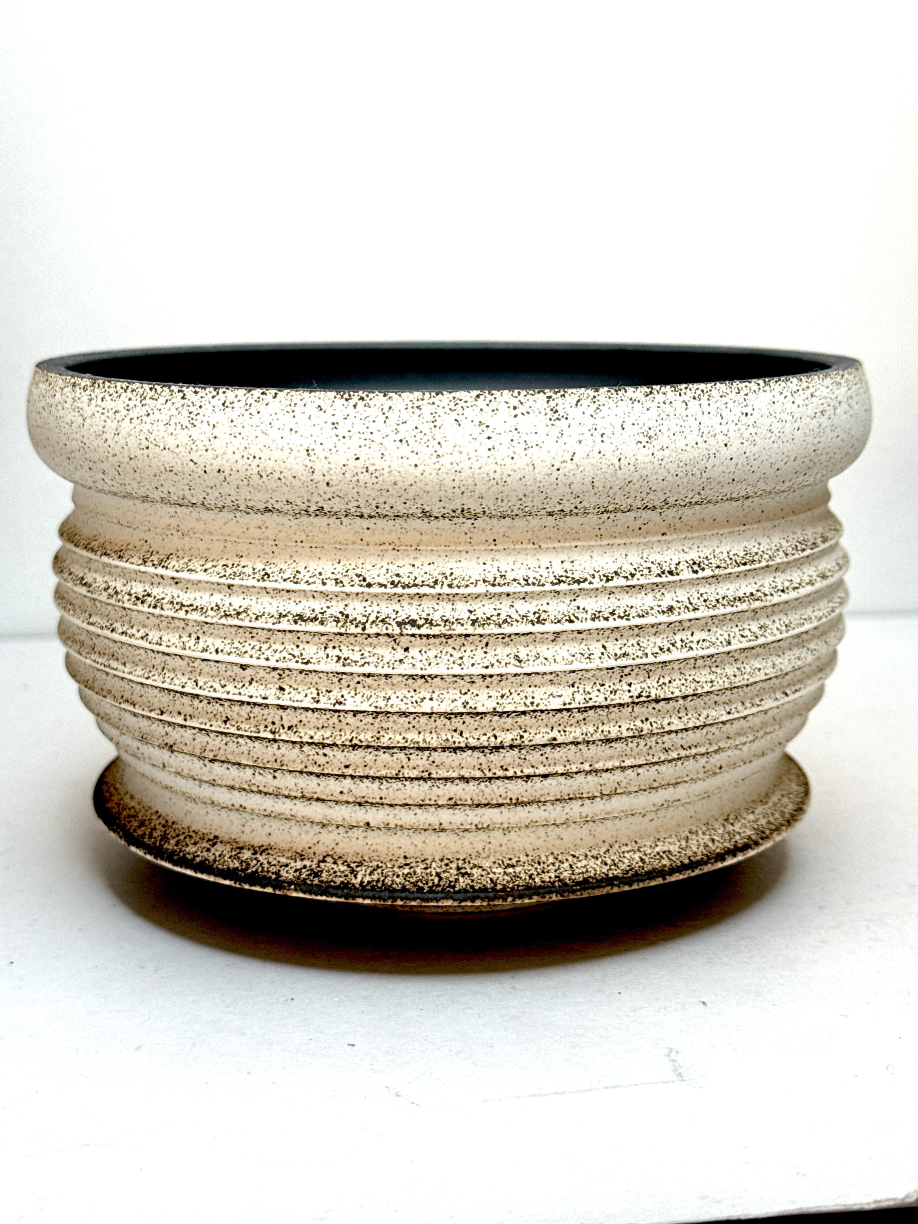 5号直径16cm植木鉢多肉塊根観葉植物陶器陶芸サボテンパキプスグラキリス アガベ