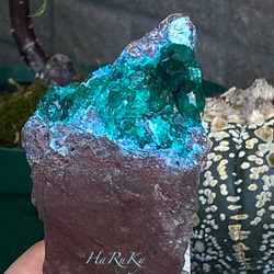 ハイクオリティ♢ダイオプテーズ with シャッタカイト 鉱物標本