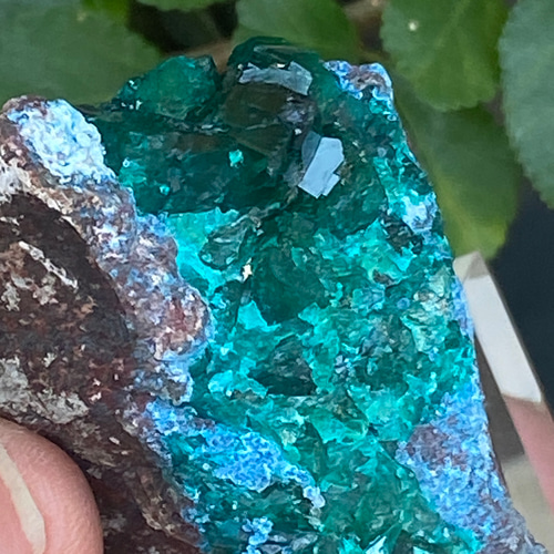 ハイクオリティ♢ダイオプテーズ with シャッタカイト 鉱物標本