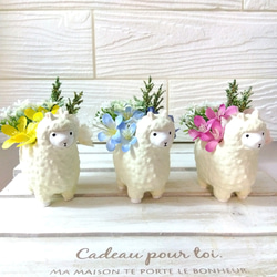 フラワーアレンジ インテリア アルパカ アートフラワー Harry Chop