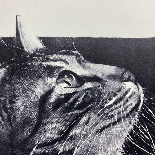 版画「キジトラ猫 2」 版画 takeshiro painting 通販 17967173｜Creema