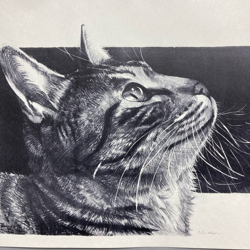 版画「キジトラ猫 2」 版画 takeshiro painting 通販 17967173