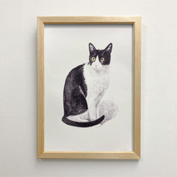新品ドマンイタリア製インテリアアート額装複製画水彩画クロシロ猫ハチワレ茶白猫の絵 p-j3-u009_1.jpg