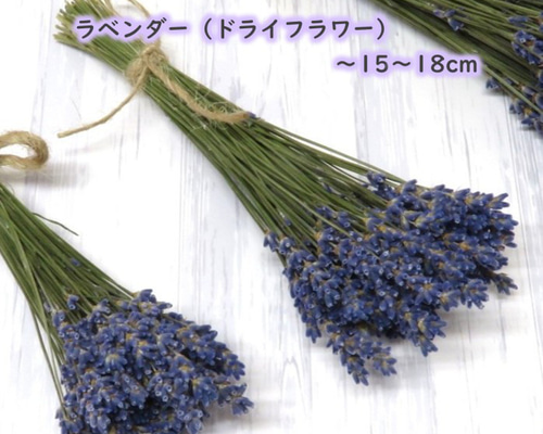 ✿専用✿ラベンダー　ドライフラワー 9535150d964b7f1085fc19989d4e88