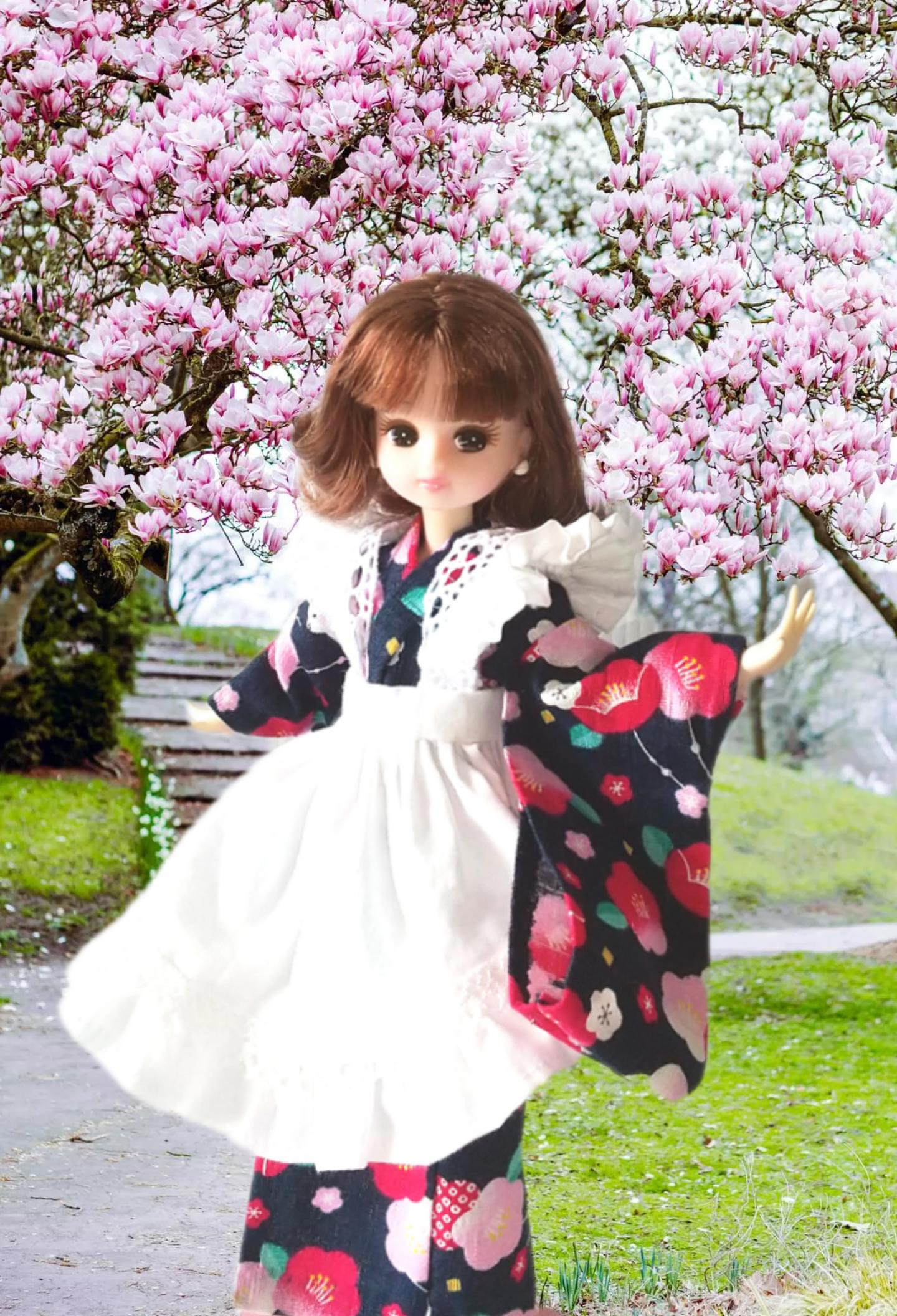 22センチドールエプロンドレス 、リカちゃん アイシードール、ブライス