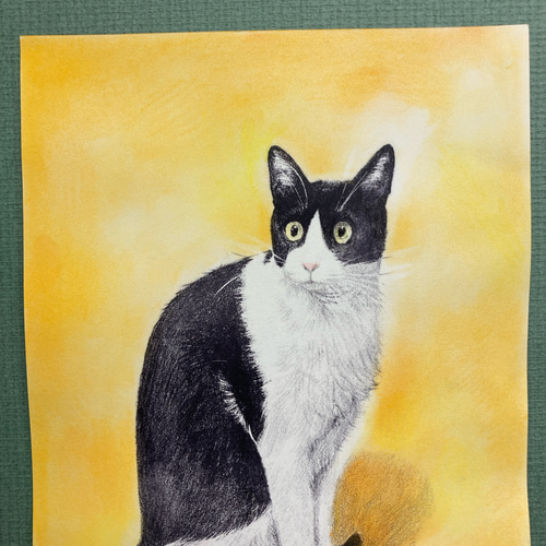 版画「ハチワレ猫（イエロー）」 版画 takeshiro painting 通販