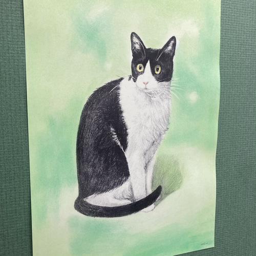 ハチワレ 猫 原画 クレヨン画 猫の絵195 水彩画 原画 ハチワレ猫 - メルカリ