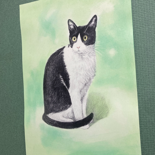 版画「ハチワレ猫（ミントグリーン）」 版画 takeshiro painting 通販